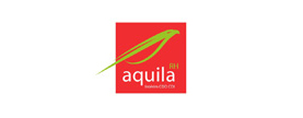 Aquila Aquila